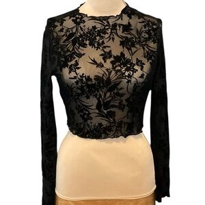 Mesh and Velvet Black Floral Lace Long Sleeve Crop Top